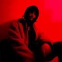 Picture of a butterfly